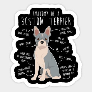 Blue Boston Terrier Dog Anatomy Sticker